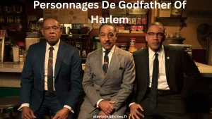 Introduction à l’univers complexe de Harlem