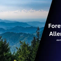 Foret Noire Allemagne : Guide Ultime