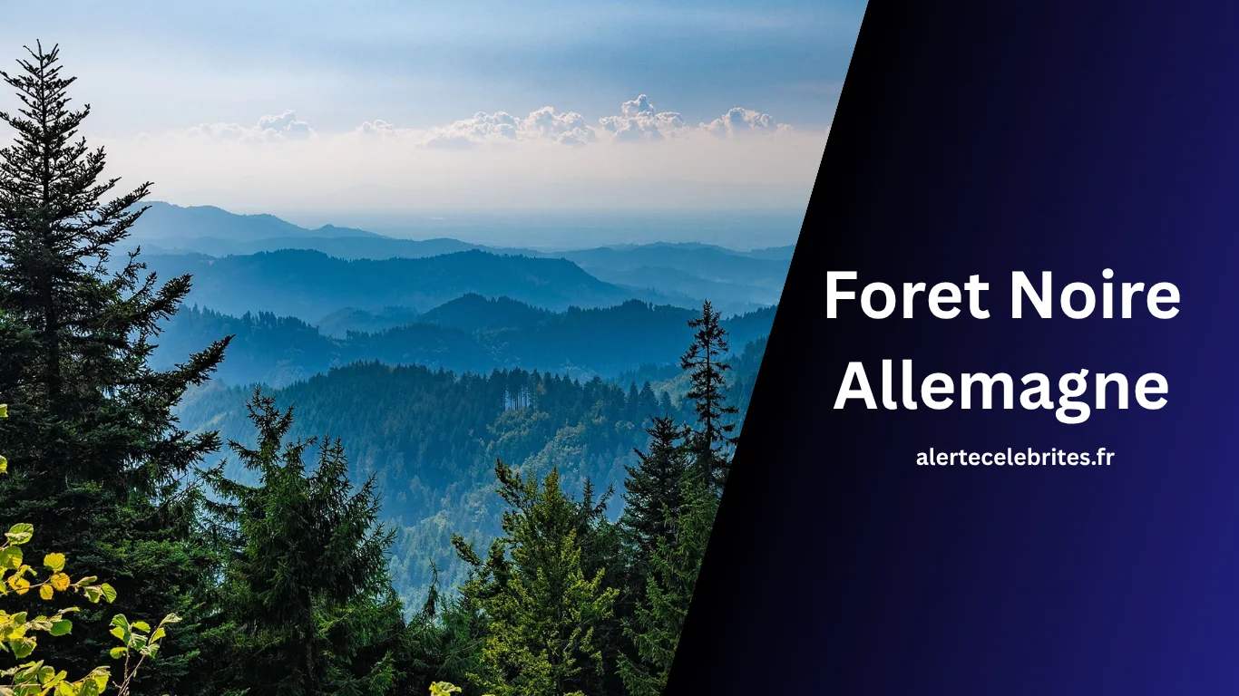 Foret Noire Allemagne