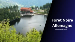 Où se situe la Foret Noire Allemagne