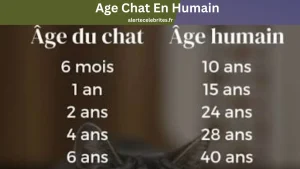 Pourquoi Age Chat En Humain est plus précis qu’un calcul simple